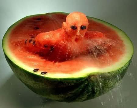 pozee - 23vg6ts1.jpg